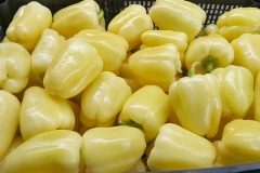 blancina (1)