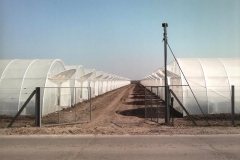 m_Plastenici1