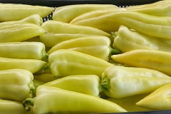 nemezis (10)